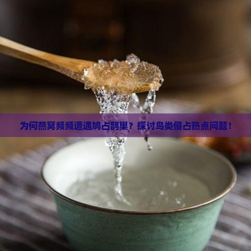 为何燕窝频频遭遇鸠占鹊巢？探讨鸟类侵占热点问题！