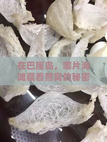 在巴厘岛，哪片海滩藏着燕窝的秘密？