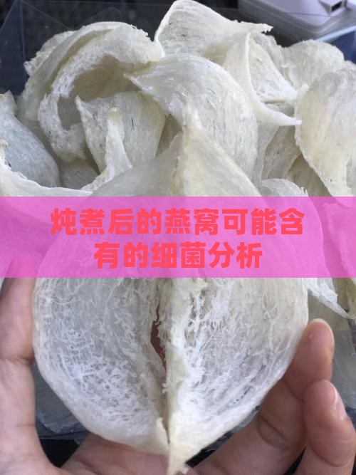 炖煮后的燕窝可能含有的细菌分析