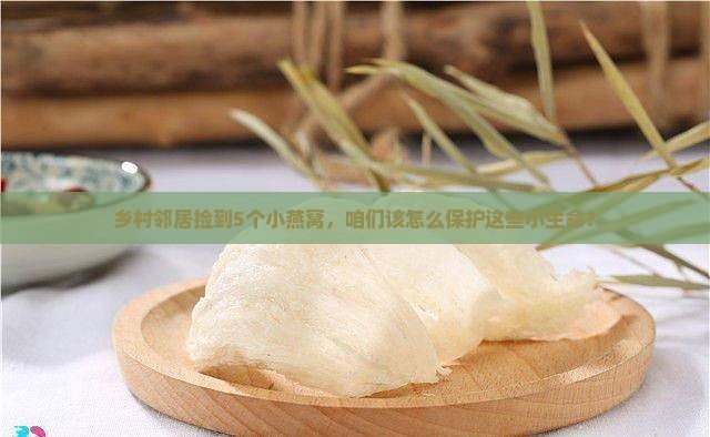 乡村邻居捡到5个小燕窝，咱们该怎么保护这些小生命？