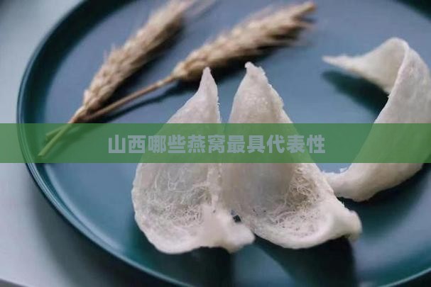 山西哪些燕窝最具代表性