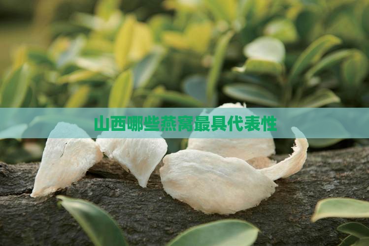 山西哪些燕窝最具代表性