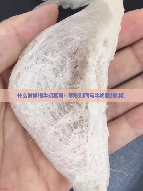 什么时候喝牛奶燕窝：吸收时间与牛奶添加时机