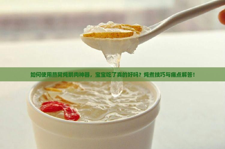 如何使用燕窝炖鹅肉神器，宝宝吃了真的好吗？炖煮技巧与痛点解答！