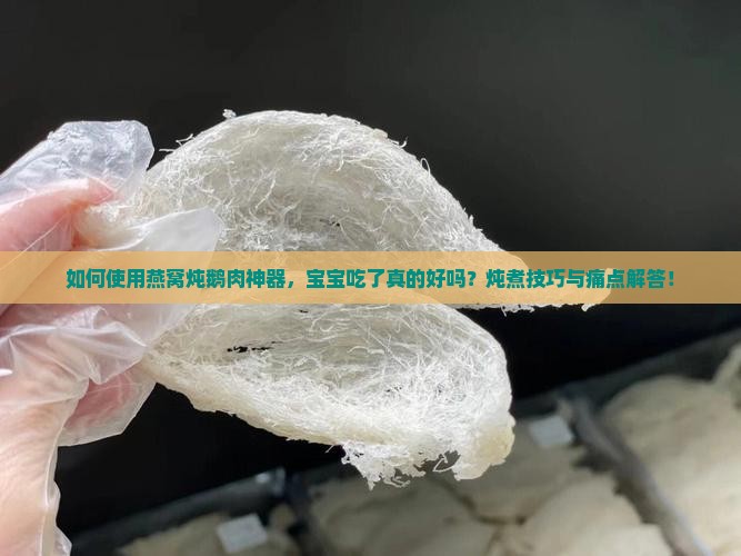 如何使用燕窝炖鹅肉神器，宝宝吃了真的好吗？炖煮技巧与痛点解答！