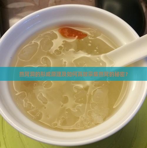 燕窝洞的形成原理及如何高效采集燕窝的秘密？