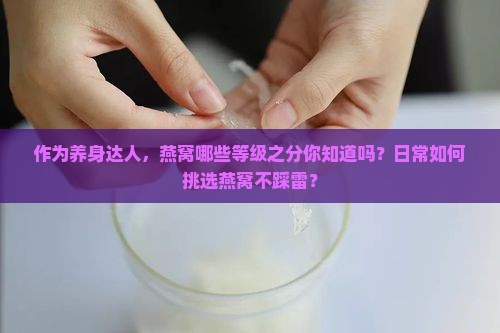 作为养身达人，燕窝哪些等级之分你知道吗？日常如何挑选燕窝不踩雷？