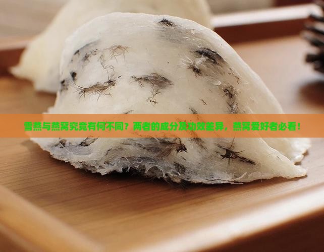 雪燕与燕窝究竟有何不同？两者的成分及功效差异，燕窝爱好者必看！