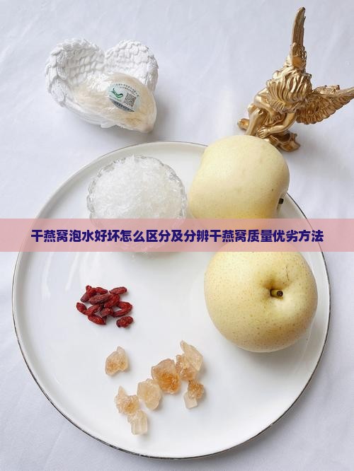 干燕窝泡水好坏怎么区分及分辨干燕窝质量优劣方法