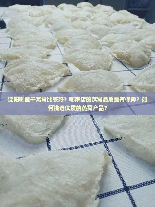 沈阳哪里干燕窝比较好？哪家店的燕窝品质更有保障？如何挑选优质的燕窝产品？