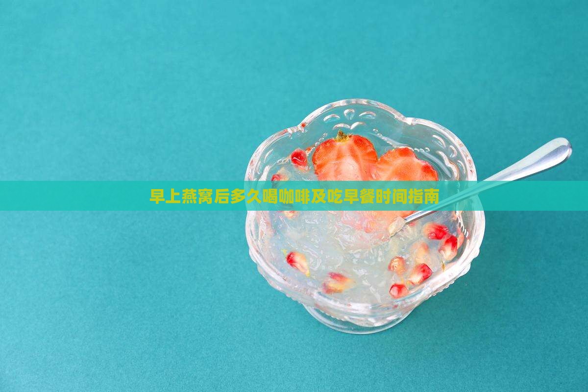 早上燕窝后多久喝咖啡及吃早餐时间指南