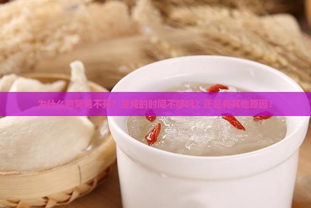 为什么燕窝炖不开？是炖的时间不够吗？还是有其他原因？