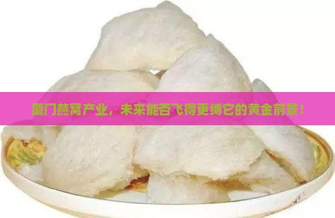 厦门燕窝产业，未来能否飞得更缚它的黄金前景！
