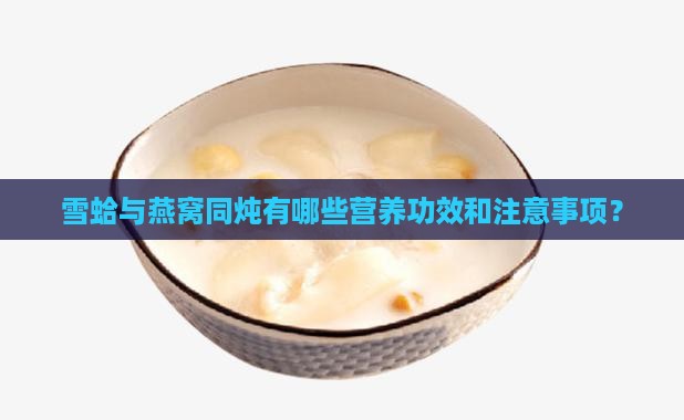 雪蛤与燕窝同炖有哪些营养功效和注意事项？