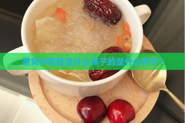 燕窝中燕胚是什么样子的是什么样子？