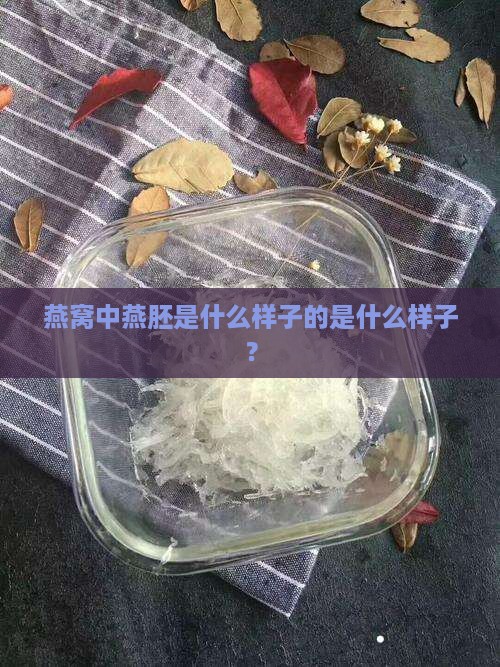 燕窝中燕胚是什么样子的是什么样子？