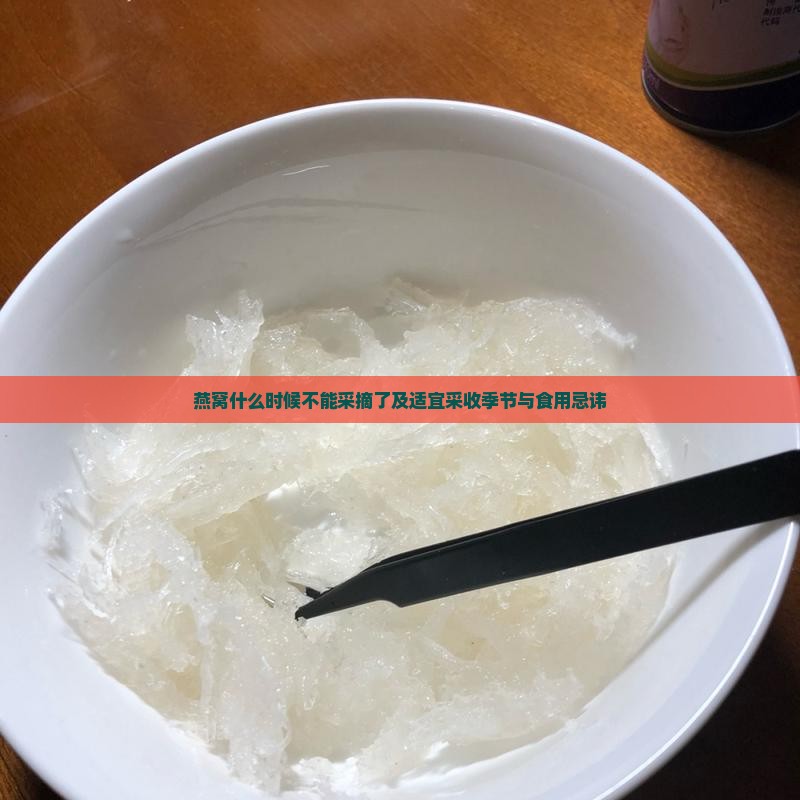 燕窝什么时候不能采摘了及适宜采收季节与食用忌讳