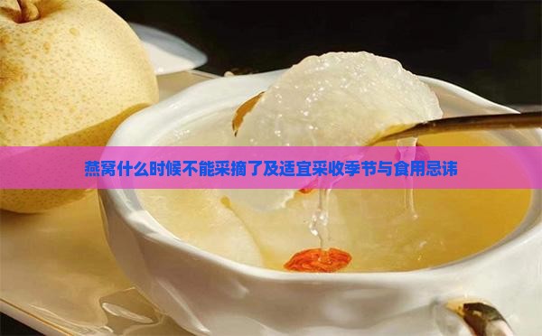 燕窝什么时候不能采摘了及适宜采收季节与食用忌讳