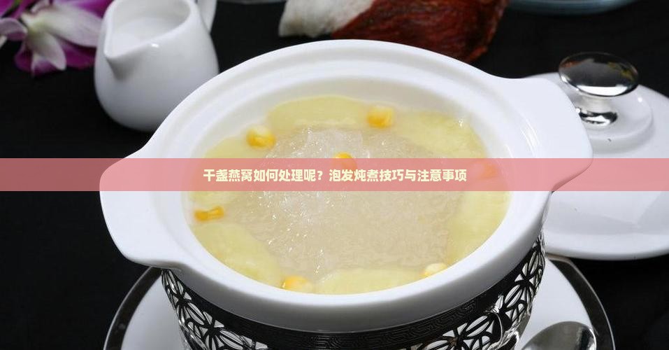 干盏燕窝如何处理呢？泡发炖煮技巧与注意事项