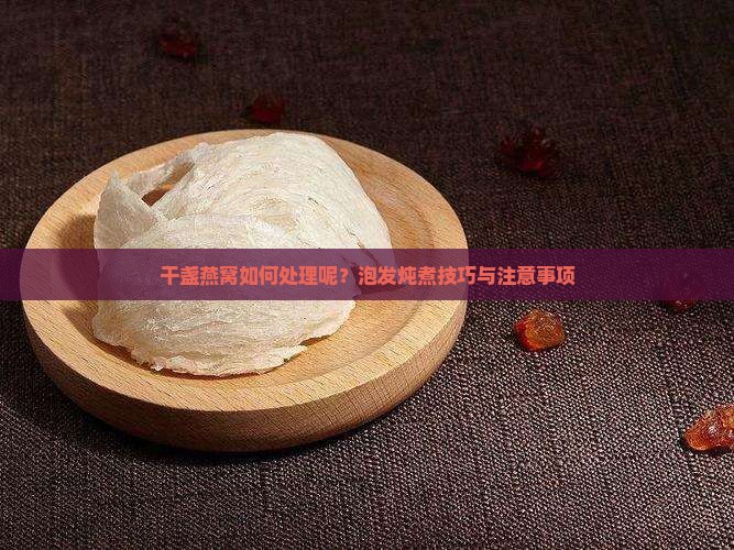 干盏燕窝如何处理呢？泡发炖煮技巧与注意事项