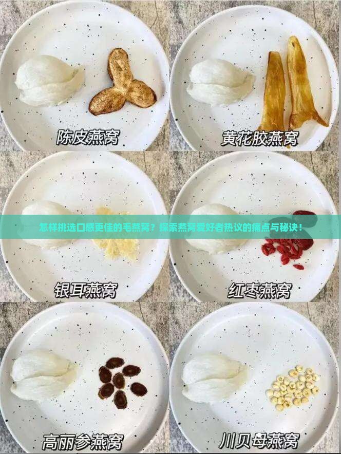 怎样挑选口感更佳的毛燕窝？探索燕窝爱好者热议的痛点与秘诀！