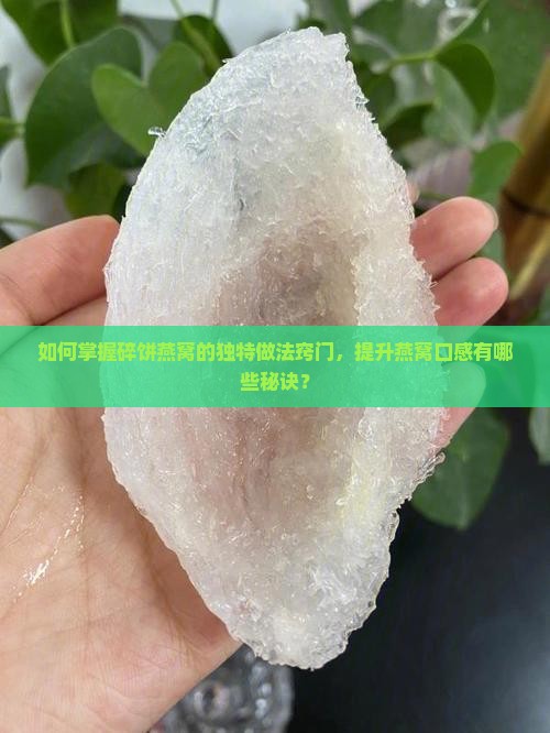 如何掌握碎饼燕窝的独特做法窍门，提升燕窝口感有哪些秘诀？