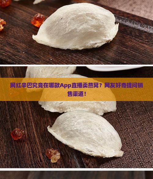 网红辛巴究竟在哪款App直播卖燕窝？网友好奇提问销售渠道！