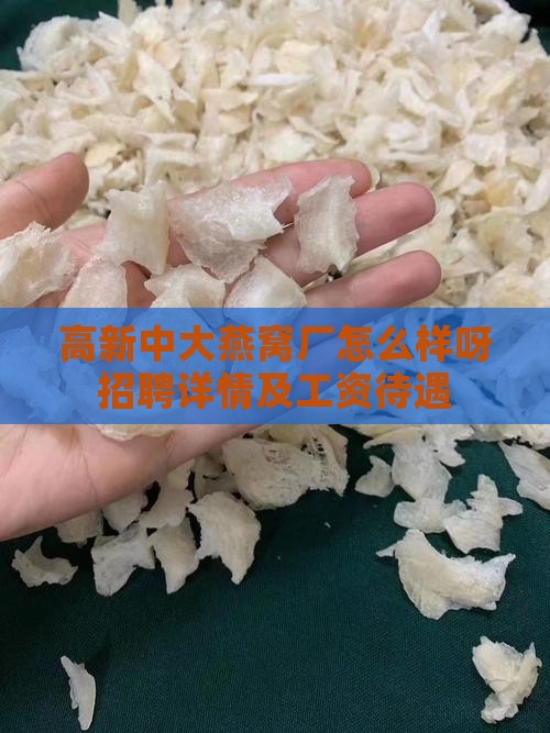 高新中大燕窝厂怎么样呀招聘详情及工资待遇