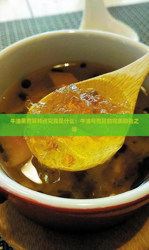 牛油果燕窝特点究竟是什么：牛油与燕窝的完美融合之谜