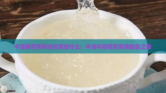牛油果燕窝特点究竟是什么：牛油与燕窝的完美融合之谜