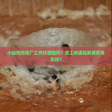 小仙炖燕窝厂工作环境如何？员工待遇和发展前景怎样？