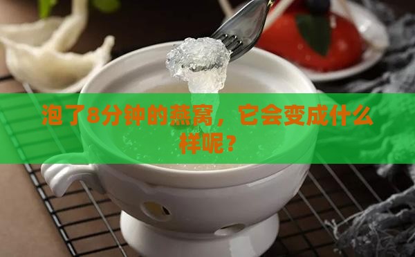 泡了8分钟的燕窝，它会变成什么样呢？