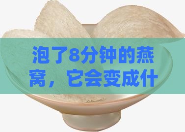 泡了8分钟的燕窝，它会变成什么样呢？