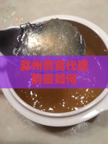 滁州燕窝代理前景如何