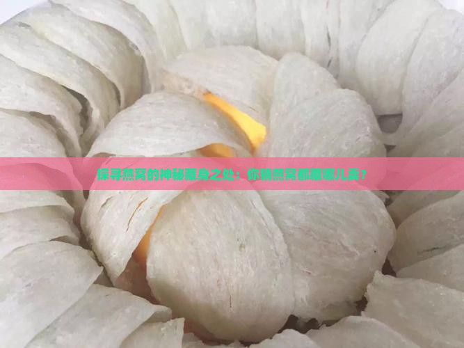 探寻燕窝的神秘藏身之处：你猜燕窝都藏哪儿卖？