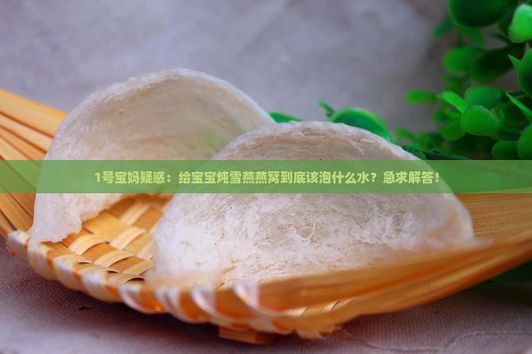 1号宝妈疑惑：给宝宝炖雪燕燕窝到底该泡什么水？急求解答！