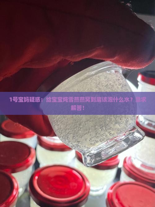 1号宝妈疑惑：给宝宝炖雪燕燕窝到底该泡什么水？急求解答！