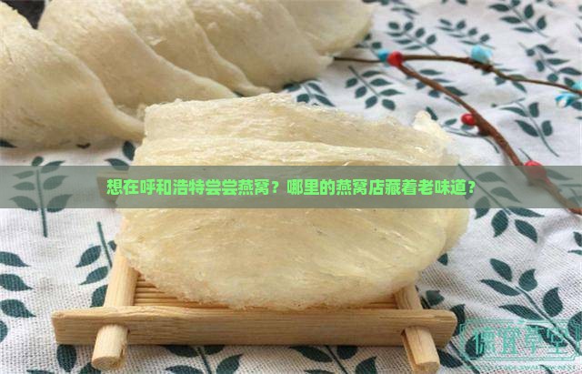 想在呼和浩特尝尝燕窝？哪里的燕窝店藏着老味道？