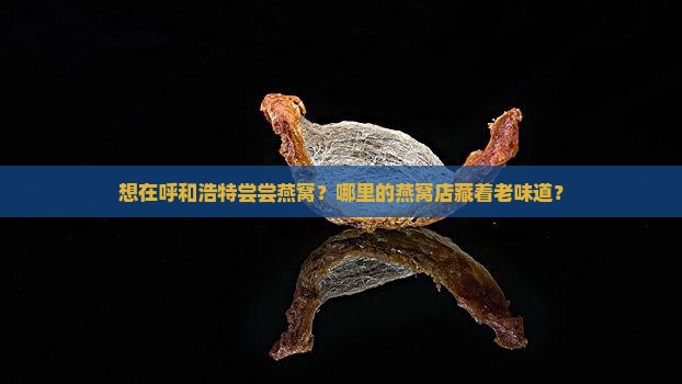 想在呼和浩特尝尝燕窝？哪里的燕窝店藏着老味道？