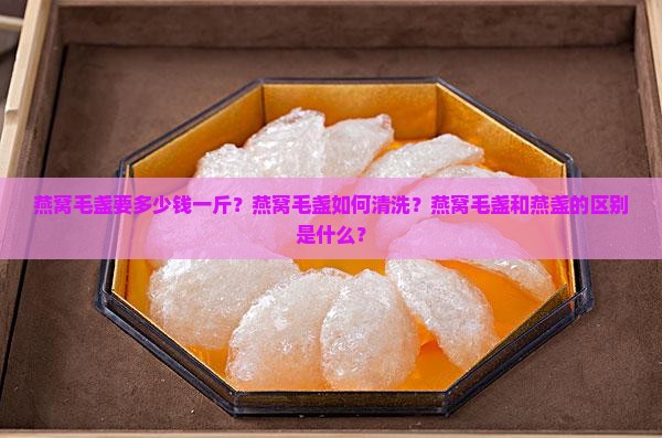 燕窝毛盏要多少钱一斤？燕窝毛盏如何清洗？燕窝毛盏和燕盏的区别是什么？
