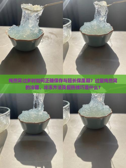 炖燕窝过多时如何正确保存与延长保质期？过量炖燕窝的冷藏、冷冻方法及复热技巧是什么？