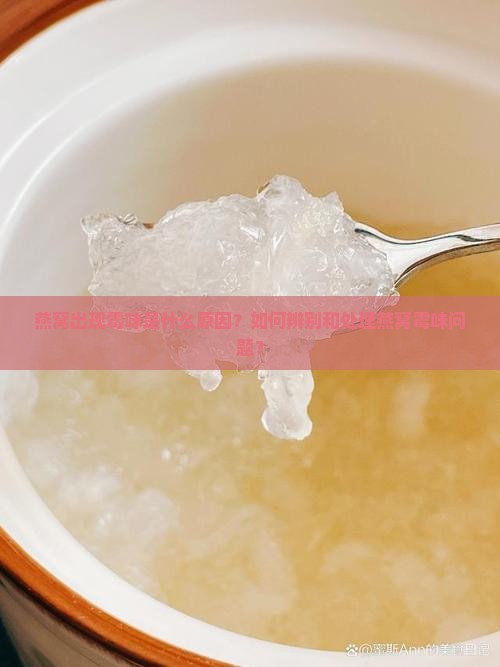 燕窝出现霉味是什么原因？如何辨别和处理燕窝霉味问题？
