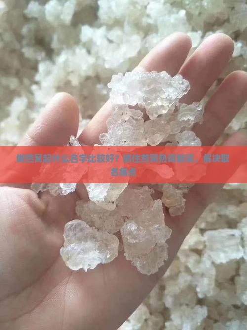 做燕窝起什么名字比较好？抓住燕窝热词新词，解决取名痛点