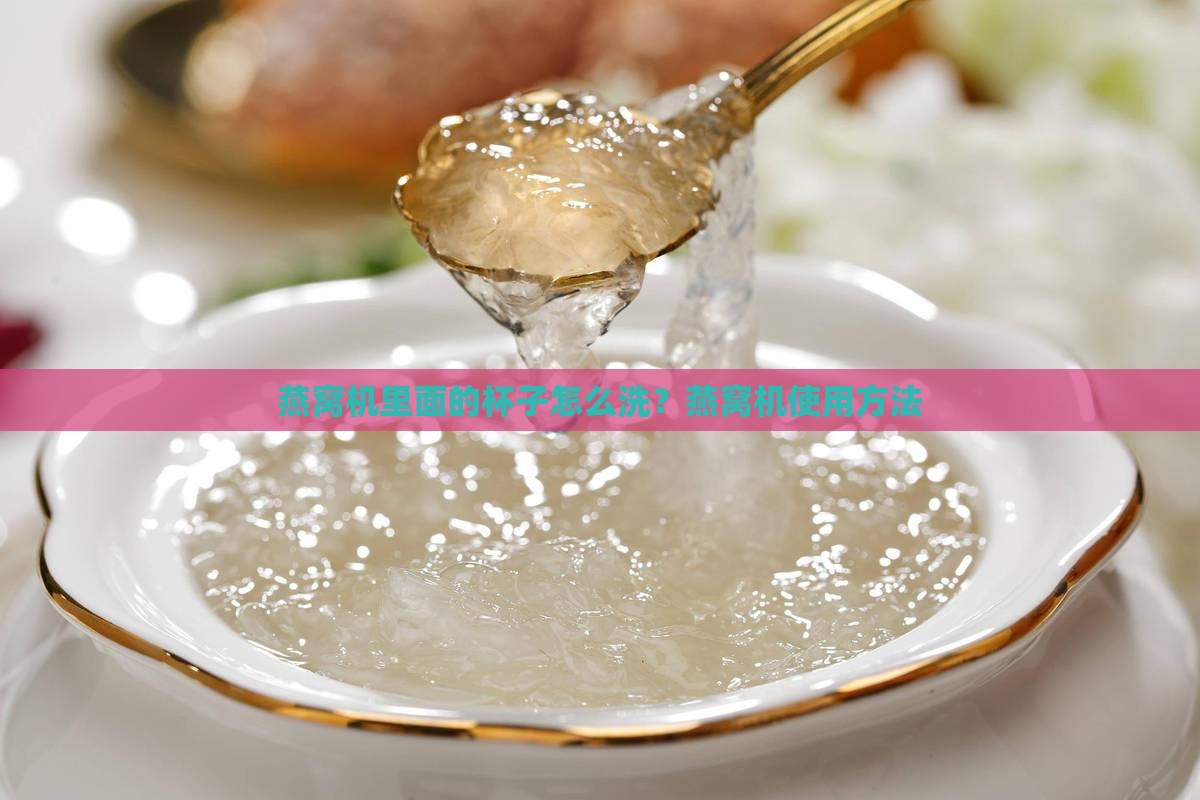 燕窝机里面的杯子怎么洗？燕窝机使用方法
