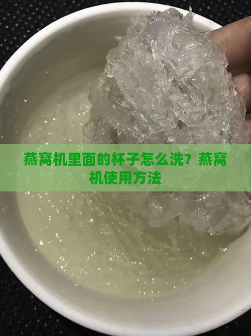 燕窝机里面的杯子怎么洗？燕窝机使用方法