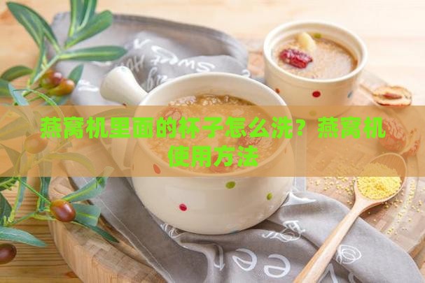 燕窝机里面的杯子怎么洗？燕窝机使用方法