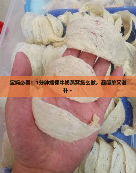 宝妈必看！1分钟搞懂牛奶燕窝怎么做，超简单又滋补～