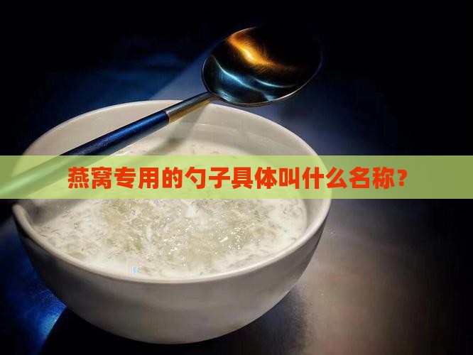 燕窝专用的勺子具体叫什么名称？