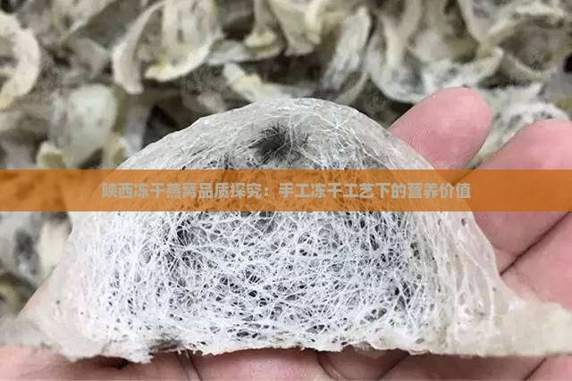 陕西冻干燕窝品质探究：手工冻干工艺下的营养价值