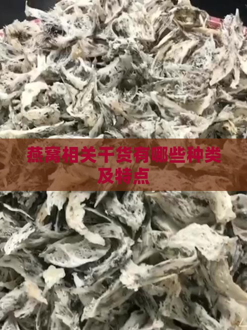 燕窝相关干货有哪些种类及特点